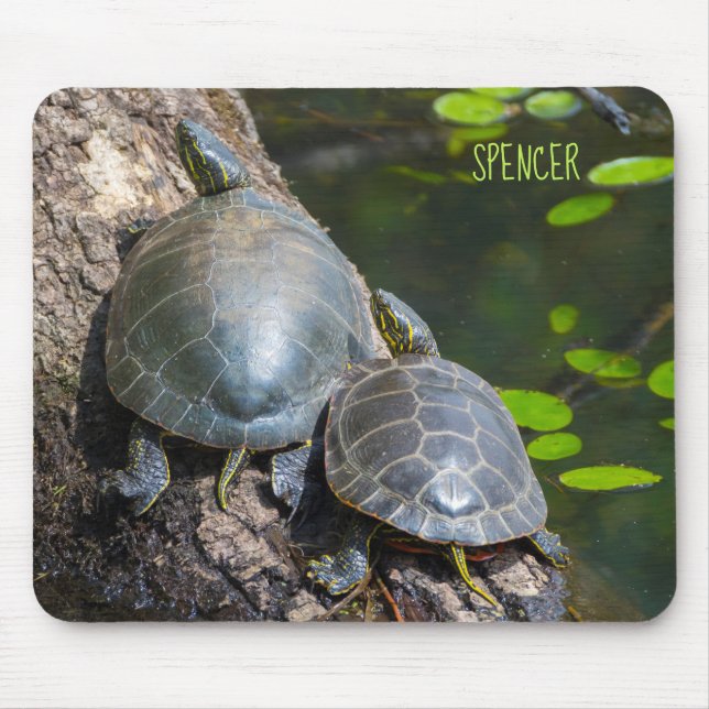 Painted Turtle Pair Mouse Pad (Front)