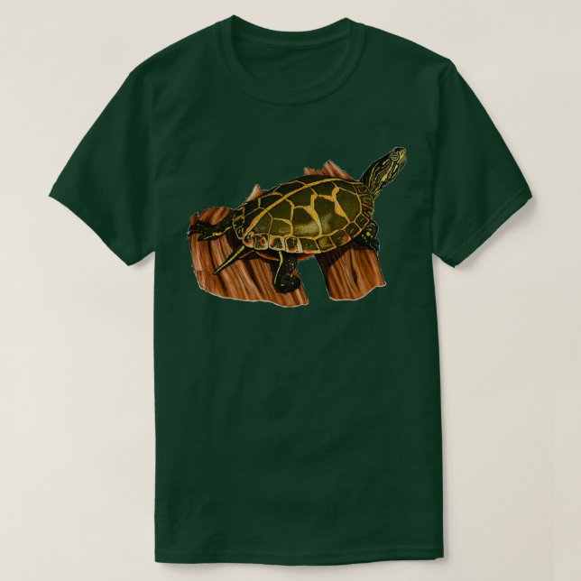 Painted Turtle Turtle Turtle Turtle Gift Turtle Dr T-Shirt (Design Front)