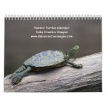Painted Turtles 2024 Calendar at Zazzle