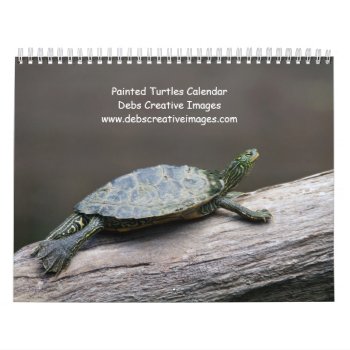 Painted Turtles 2024 Calendar by debscreative at Zazzle