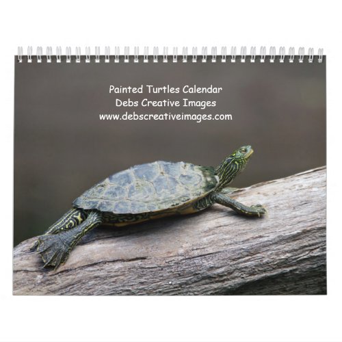 Painted Turtles 2025 Calendar