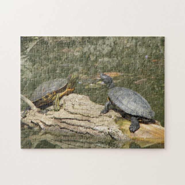 Painted Turtles Jigsaw Puzzle (Horizontal)