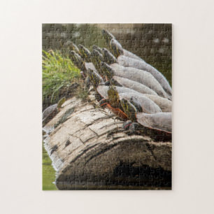 Painted Turtles Sunning Themselves In A Pond Jigsaw Puzzle