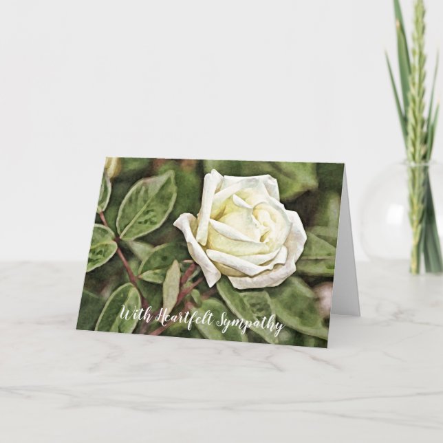 Painted White Rose Sympathy Card (Front)