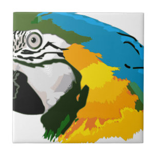 Painted Yellow Blue Macaw Parrot Tile