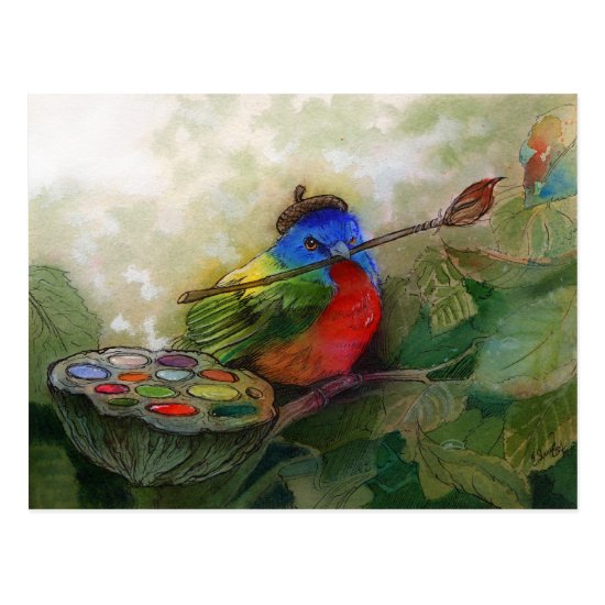 Painter Painted Bunting Bird Postcard