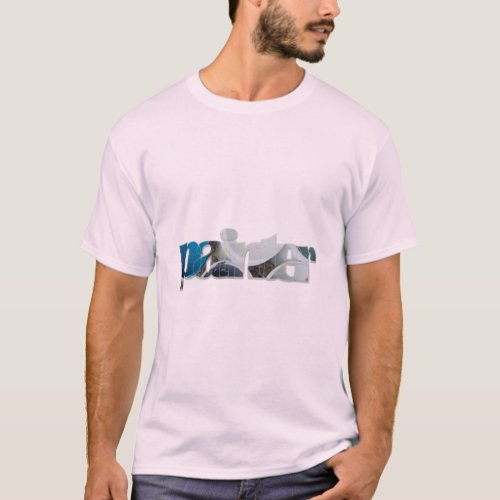 painter T_Shirt