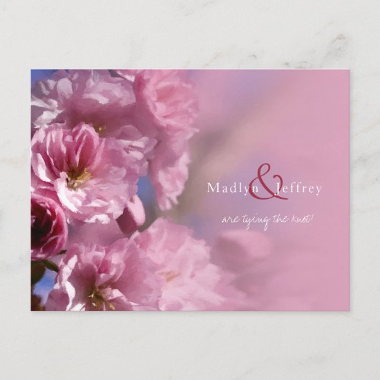 painterly cherry tree blossoms wedding announcement postcard