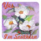Painterly White Southern Magnolias on Lavender