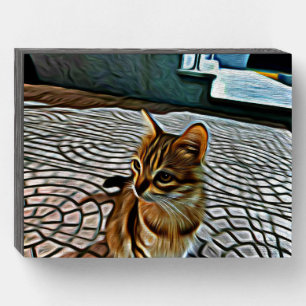 Painting Beautiful Cat Wooden Box Sign