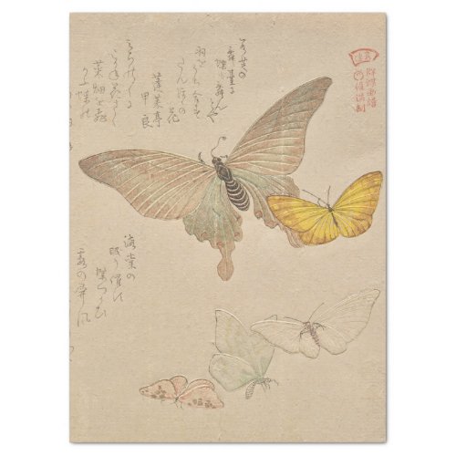 Painting Manual of Flock of Butterflies by Shunman Tissue Paper