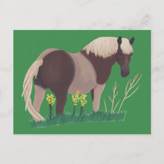 Painting of Horse Standing Looking, Grass Postcard