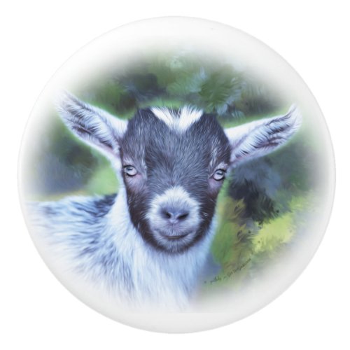 Painting of my Pygmy Goat  Savannah Ceramic Knob