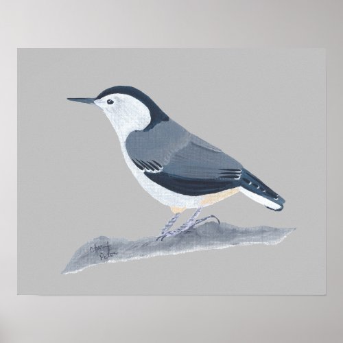 Painting of Nuthatch Bird on Wall Posters