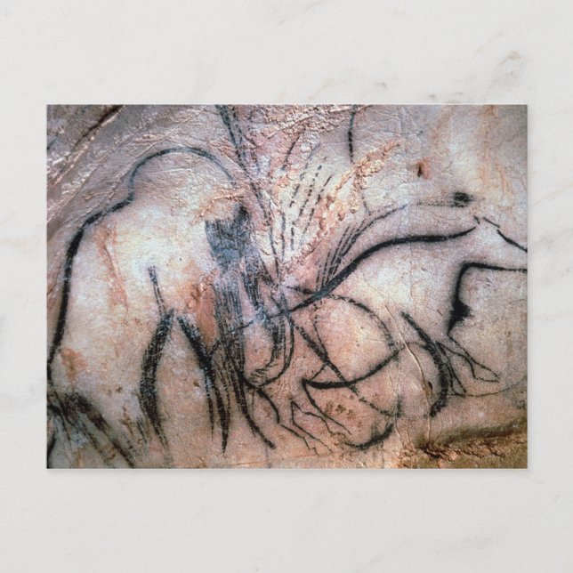 Paintings depicting mammoth and cattle, from the C Postcard (Front)