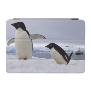 Pair Adelie penguins Antarctica iPad Mini Cover