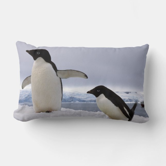 Pair Adelie penguins Antarctica Lumbar Pillow (Front)