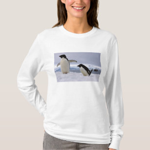 Pair Adelie penguins Antarctica T-Shirt