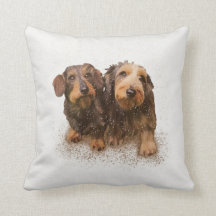 “Pair O’Doxical Puppies”