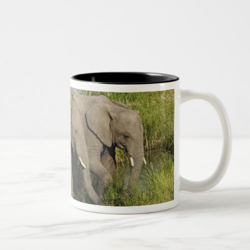 Pair of African Elephants feeding Masai Mara Two_Tone Coffee Mug