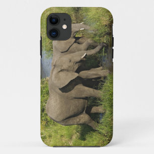 Pair of African Elephants Masai Mara iPhone 11 Case