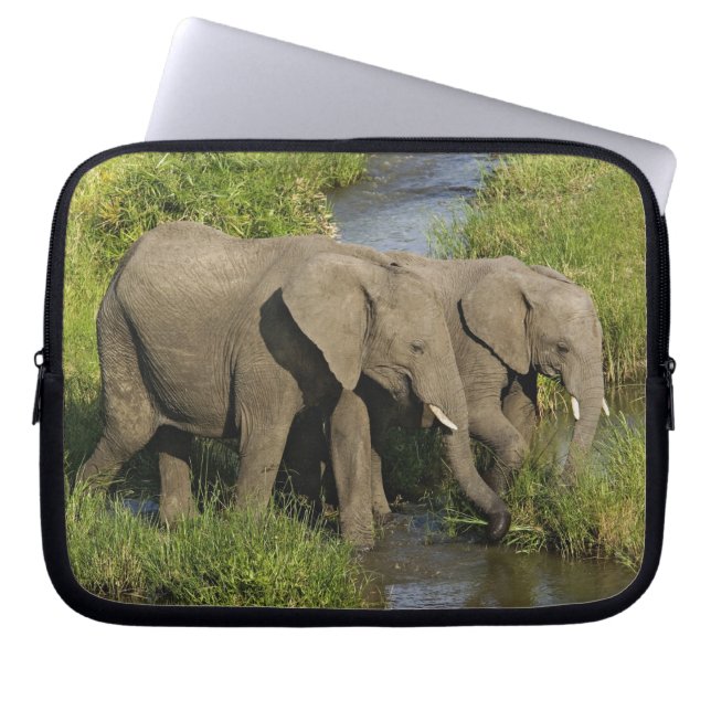 Pair of African Elephants Masai Mara Laptop Sleeve (Front)