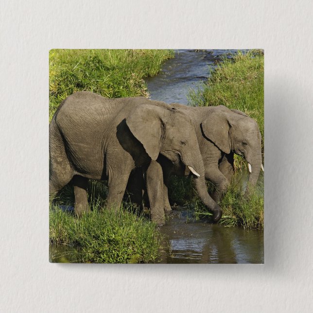 Pair of African Elephants Masai Mara Pinback Button (Front)
