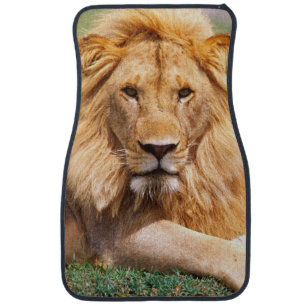 Pair of African Lions, Panthera leo, Tanzania Car Mat