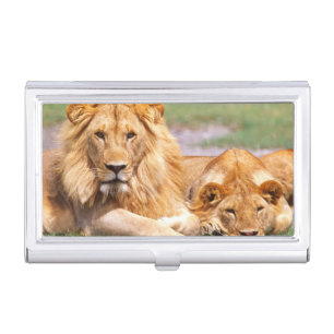 Pair of African Lions, Panthera leo, Tanzania Case For Business Cards