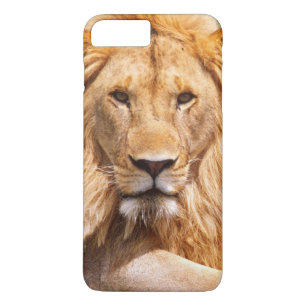 Pair of African Lions, Panthera leo, Tanzania iPhone 8 Plus/7 Plus Case