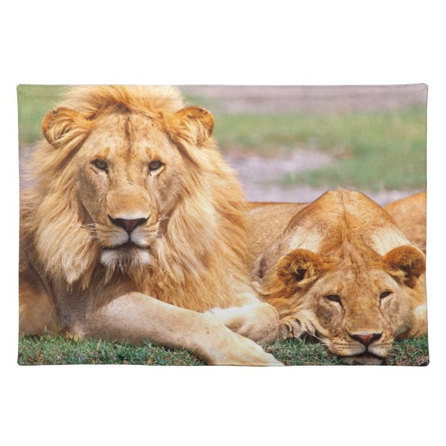 Pair of African Lions, Panthera leo, Tanzania Cloth Placemat (Front)