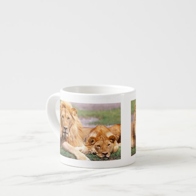 Pair of African Lions, Panthera leo, Tanzania Espresso Cup (Front Left)