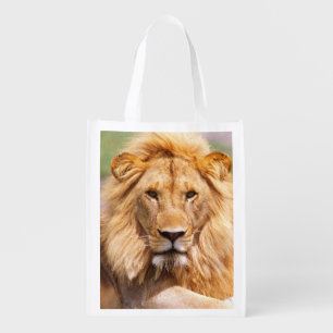 Pair of African Lions, Panthera leo, Tanzania Grocery Bag