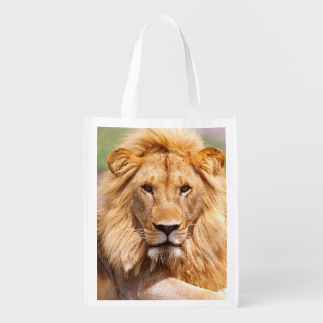 Pair of African Lions, Panthera leo, Tanzania Grocery Bag (Front)