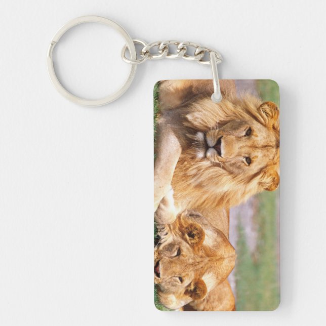 Pair of African Lions, Panthera leo, Tanzania Keychain (Front)