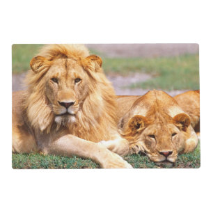 Pair of African Lions, Panthera leo, Tanzania Placemat