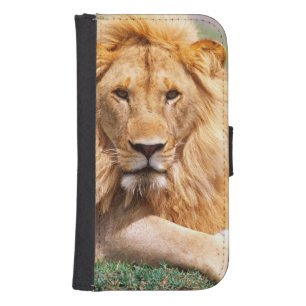 Pair of African Lions, Panthera leo, Tanzania Samsung S4 Wallet Case