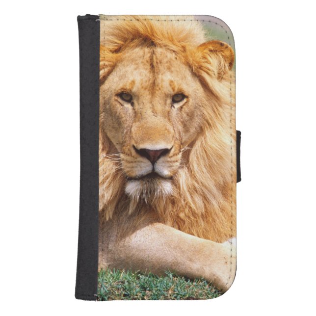 Pair of African Lions, Panthera leo, Tanzania Samsung Galaxy Wallet Case (Front)