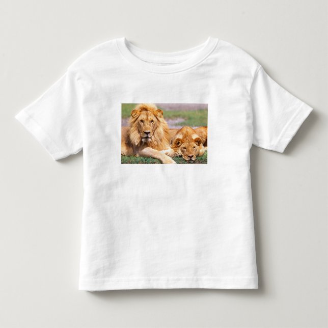 Pair of African Lions, Panthera leo, Tanzania Toddler T-shirt (Front)