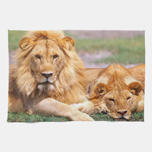 Pair of African Lions, Panthera leo, Tanzania Towel (Horizontal)