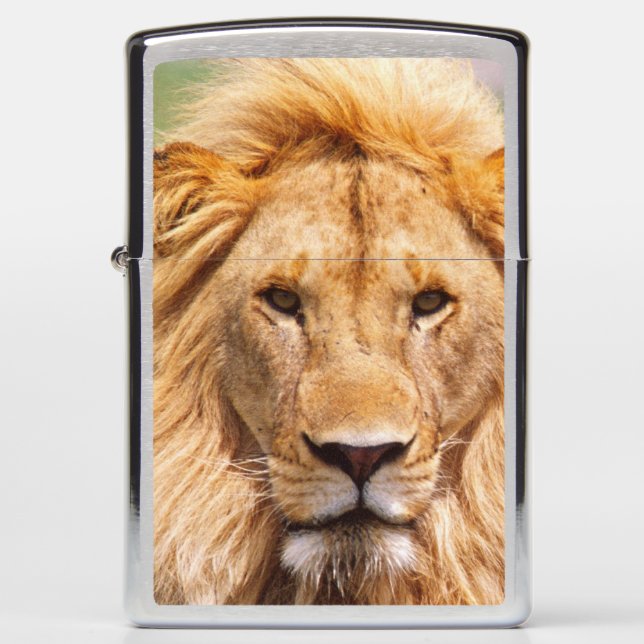 Pair of African Lions, Panthera leo, Tanzania Zippo Lighter (Front)