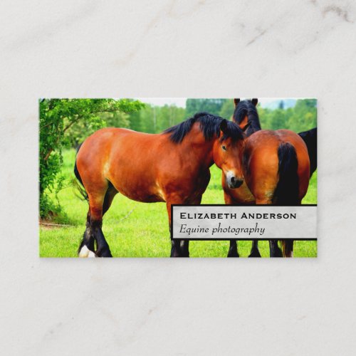 Pair Of Bay Polish Horses  Green Landscape Business Card