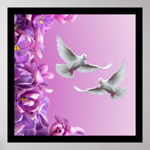 Pair Of Beautiful White Doves Poster