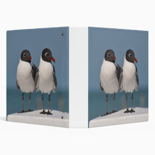 Pair of Black Headed Gulls 3 Ring Binder