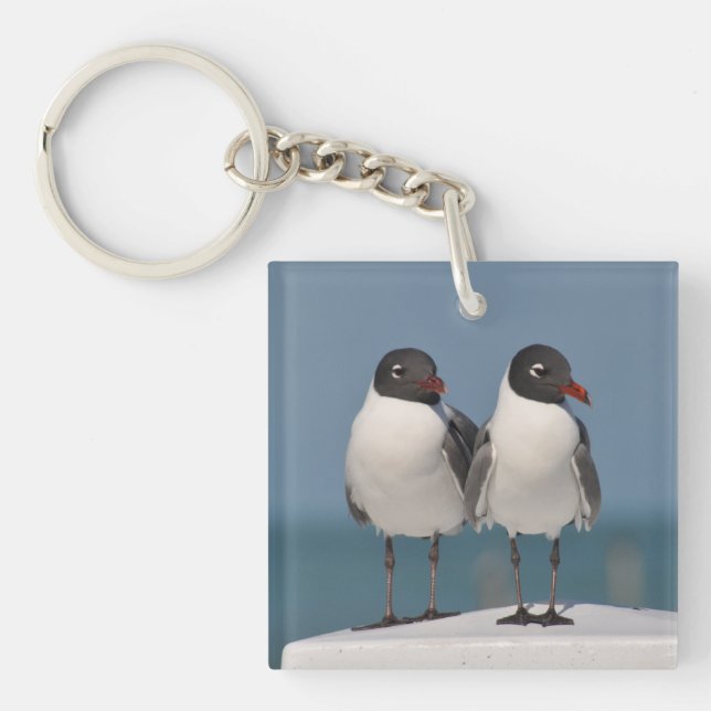 Pair of Black Headed Gulls Keychain (Front)