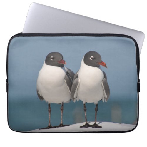 Pair of Black Headed Gulls Laptop Sleeve