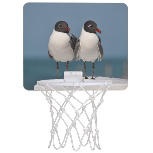 Pair of Black Headed Gulls Mini Basketball Hoop