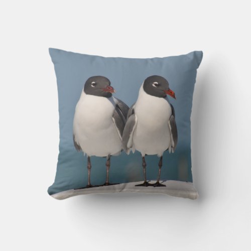 Pair of Black Headed Gulls Throw Pillow
