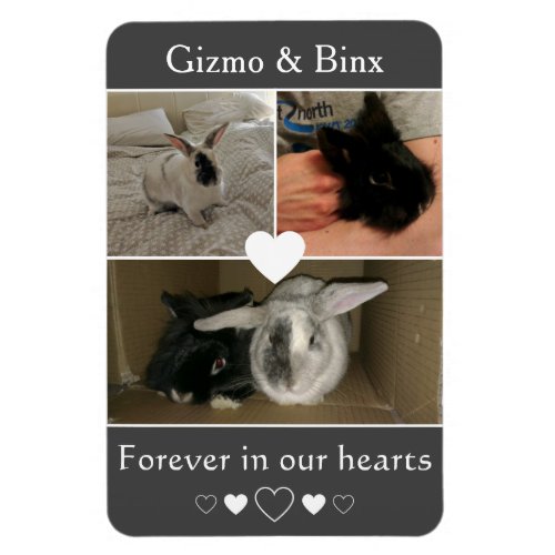 Pair of Bonded Bunnies Photo Memorial Magnet