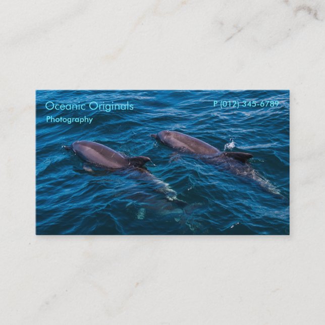 Pair of Bottlenose Dolphins Business Card Template (Front)